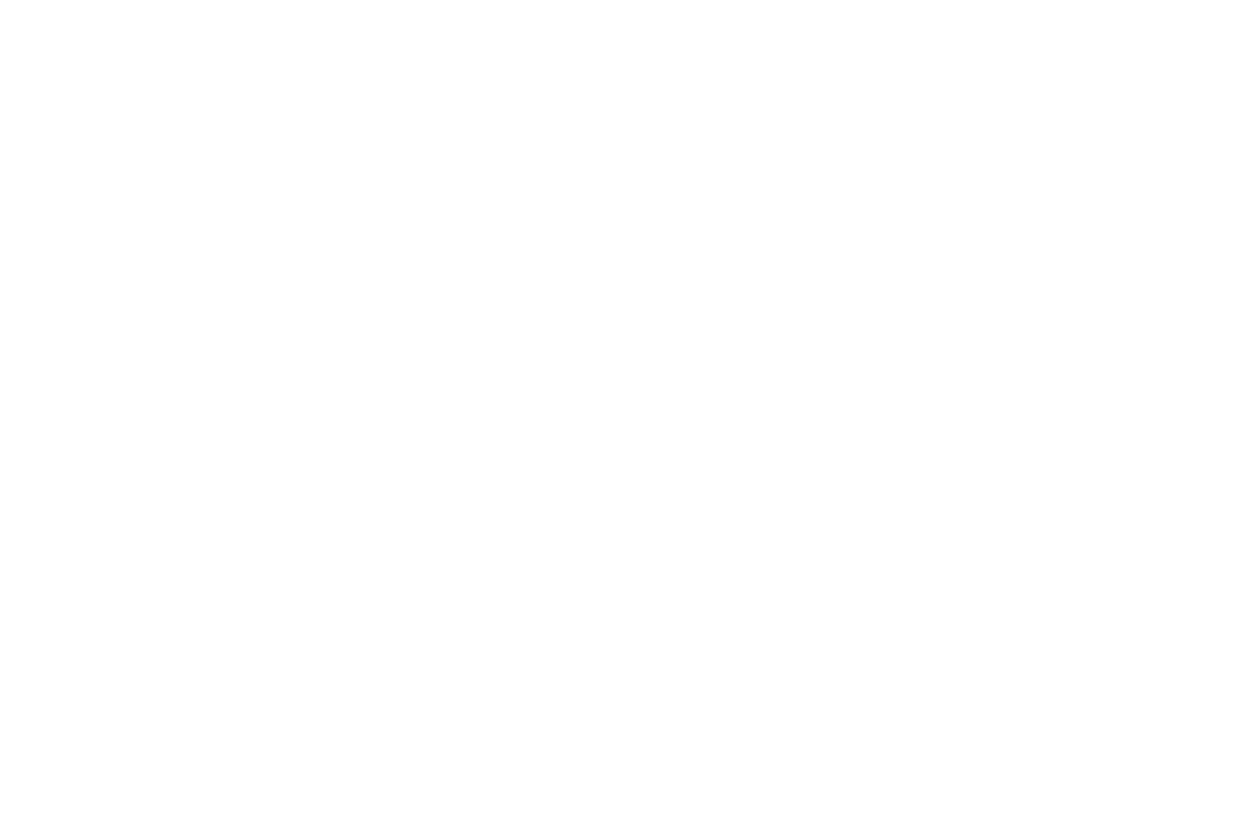 Capgemini_Logo_Rev